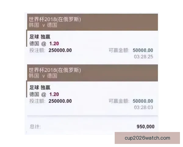 世界杯买球入口推荐指南与安全稳定投注平台全解析