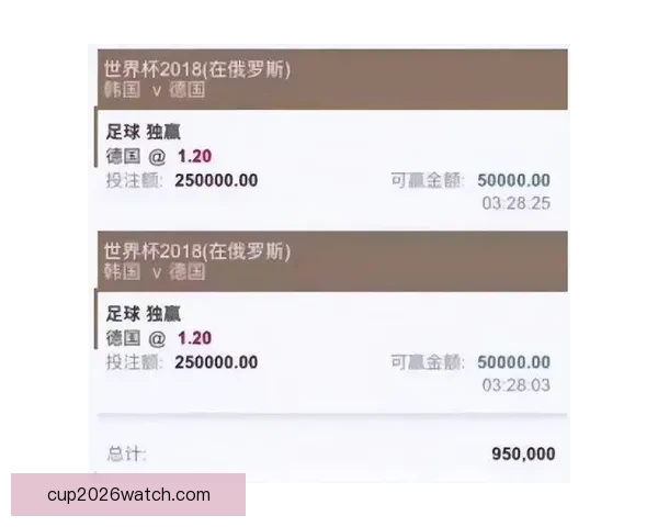 世界杯竞猜胜负投注攻略全面解析让你轻松赚取投注收益