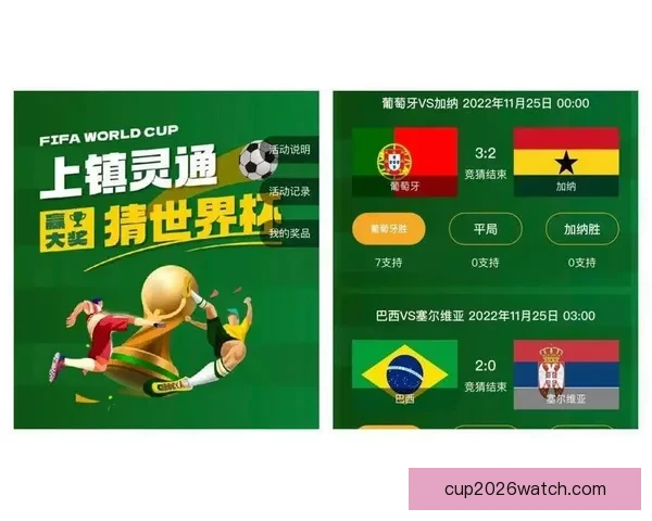 世界杯竞猜游戏玩法全攻略从规则解析到投注技巧一次带你完全玩懂