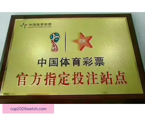 世界杯竞猜盛宴开启，全球球迷同享狂欢时刻，竞猜赢大奖助力精彩赛事