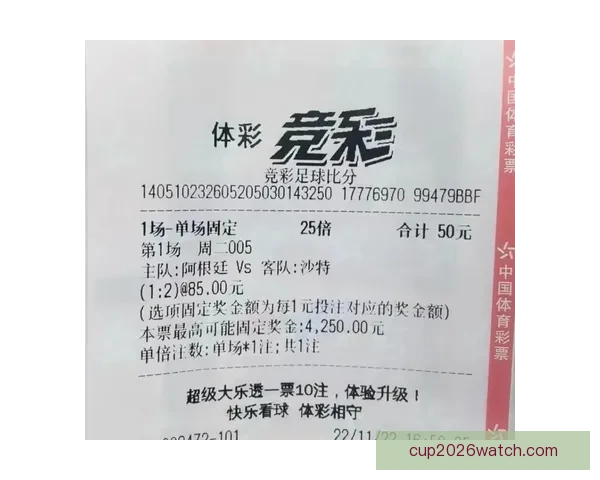 世界杯竞猜投注技巧全解析助你精准预测赛事结果提升中奖概率